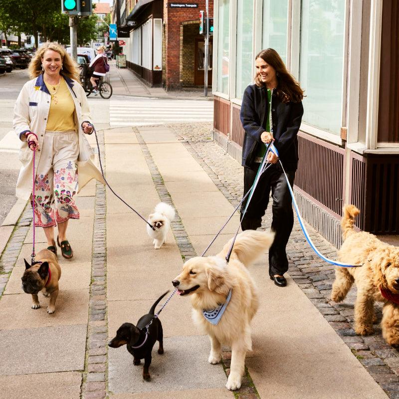 HAY® Colorful Pet Scarf - KIKOPALS