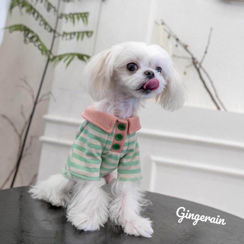 GINGERAIN® Creamy Green Striped Cotton Pet Polo Shirt - KIKOPALS