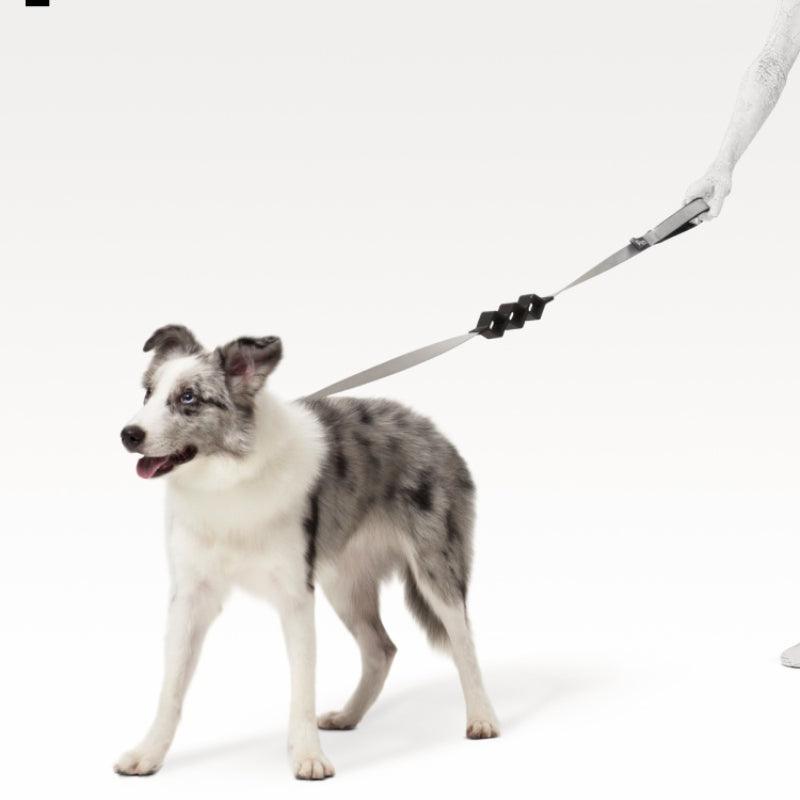 pidan® Shock-Absorbing Dog Leash - KIKOPALS