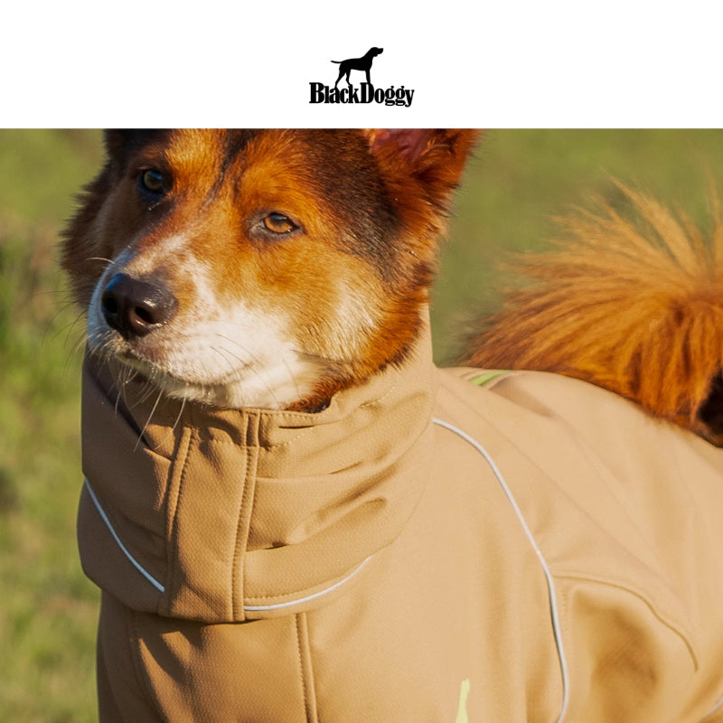 BlackDoggy® Warm Hardshell Four-Legged Jacket for Dogs