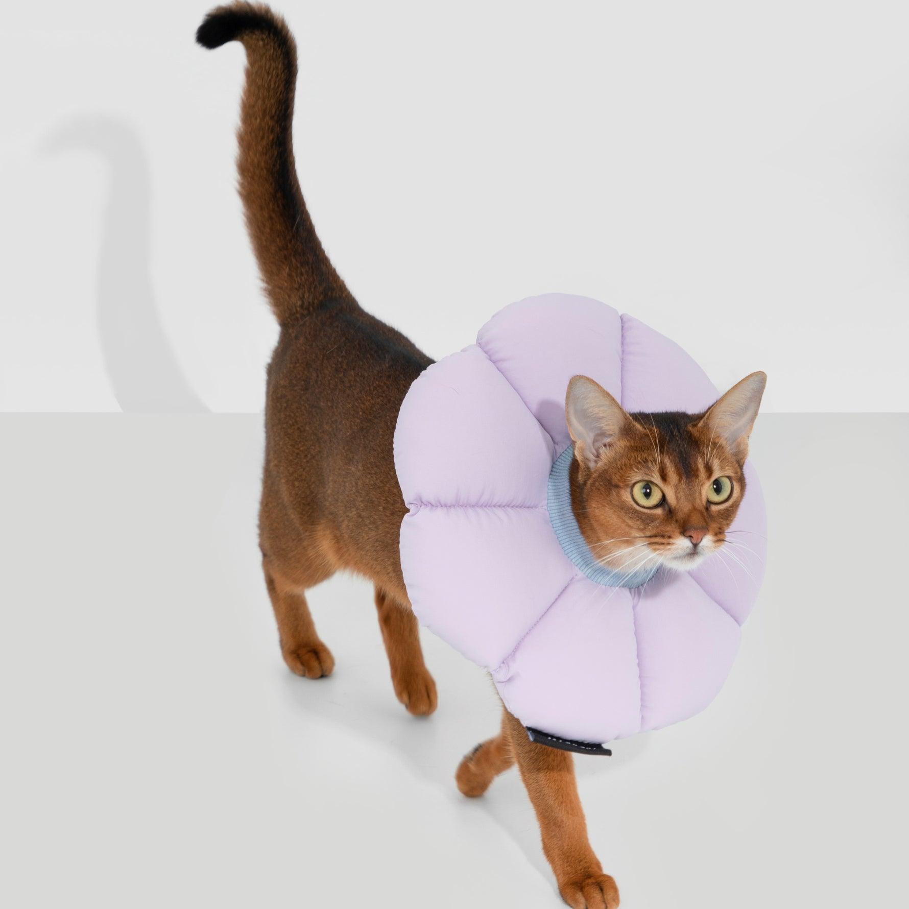 HiDREAM® Pet Flower Elizabethan Collar - KIKOPALS