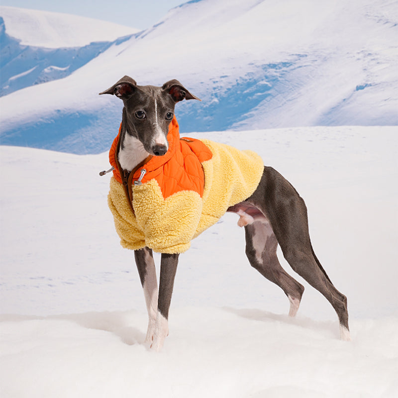 ZEZE® Windproof Pet Jacket for Small Dogs