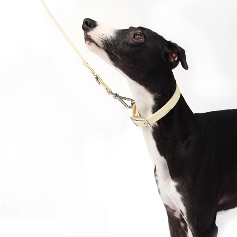 Nuoz® U Series Dog Leash - Durable and Stylish