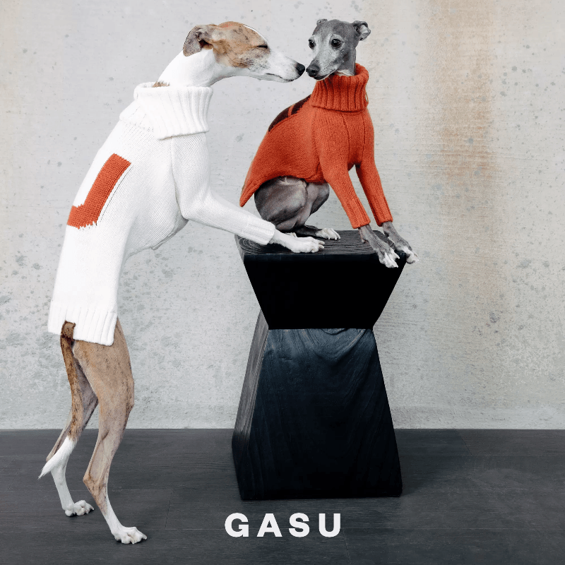GASU® Chunky Wool Dog Two-Legged Sweater - KIKOPALS