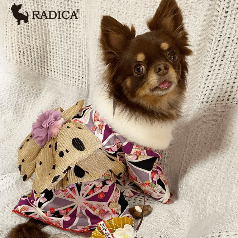 Radica® Pet Kimono Costume - KIKOPALS