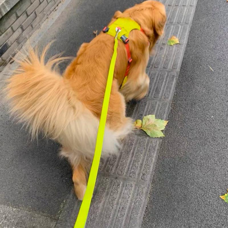 BeauGo® Waterproof Pet Leash - KIKOPALS