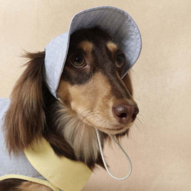 LazyEazy® Lightweight Waterproof Pet Hat