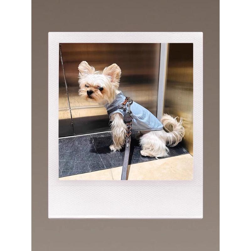 GASU® UPF50+ Cooling Dog Sun Vest - KIKOPALS