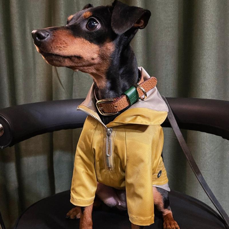 BBPRODUCTION® Windproof Dog Jacket with Leash Access - KIKOPALS