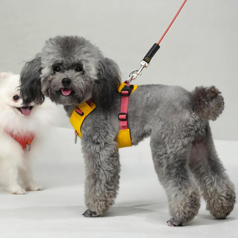 BeauGo® Harnesses for Small Pet - KIKOPALS