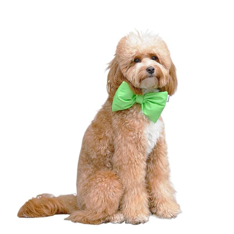 LazyEazy® Padded Bow Tie Collar - KIKOPALS