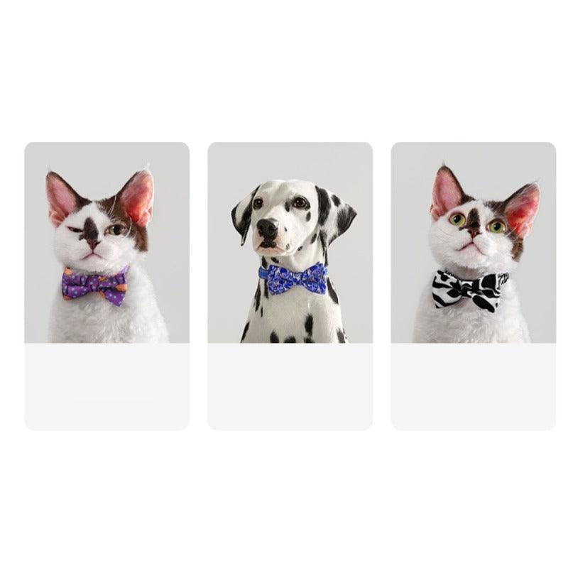 KITTY YOYO® Cat Bow Tie / Collar - KIKOPALS