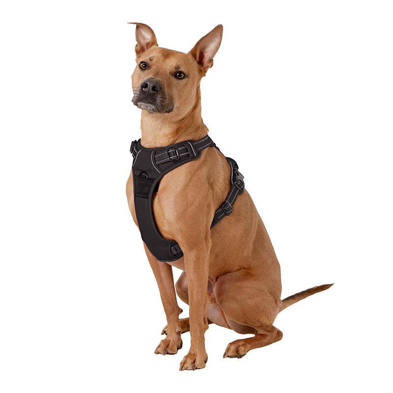 KIKOPALS® No-Pull Dog Harness - KIKOPALS