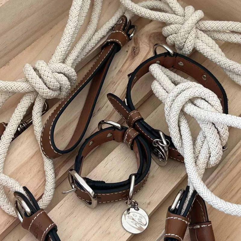 PalettePet® Color-Blocked Stud Leather Dog Collar & Leash Set - KIKOPALS