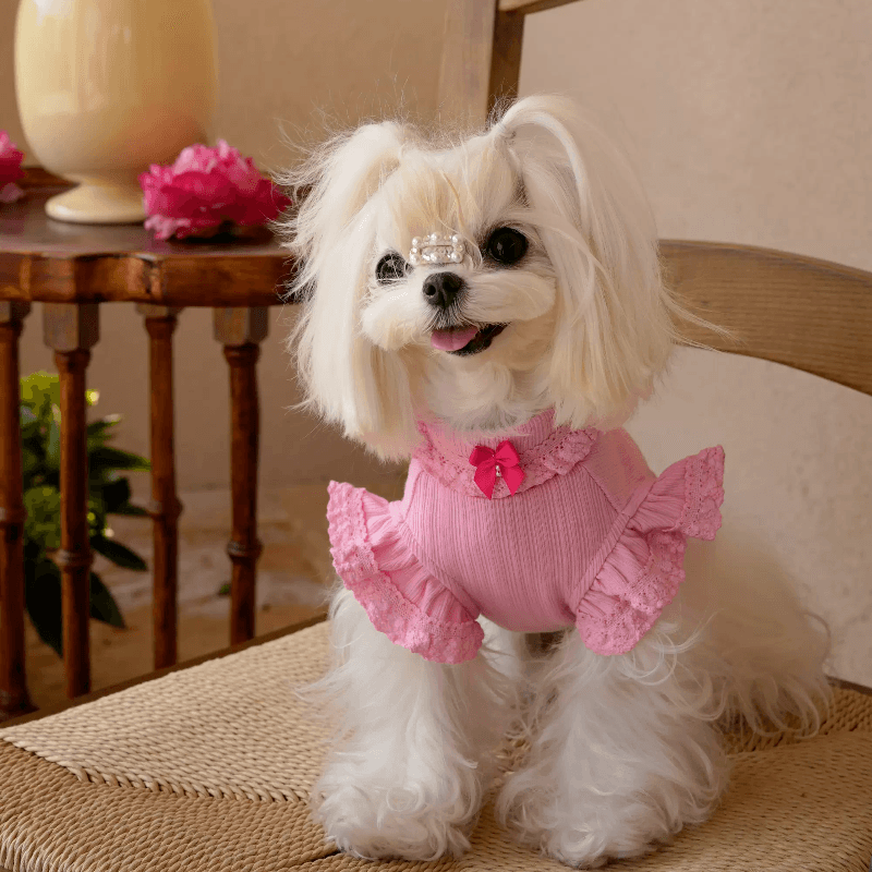 BOWWW® Pet Little Sweetheart Knitted Base Layer Top - KIKOPALS