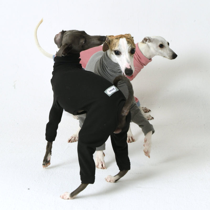 iiNeed® Comfortable Base Layer for Dogs