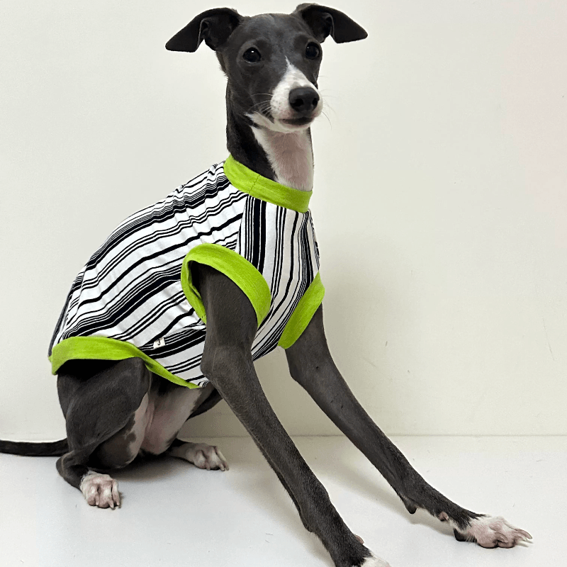 A HUNTING DOG® Dog Striped Vest - KIKOPALS
