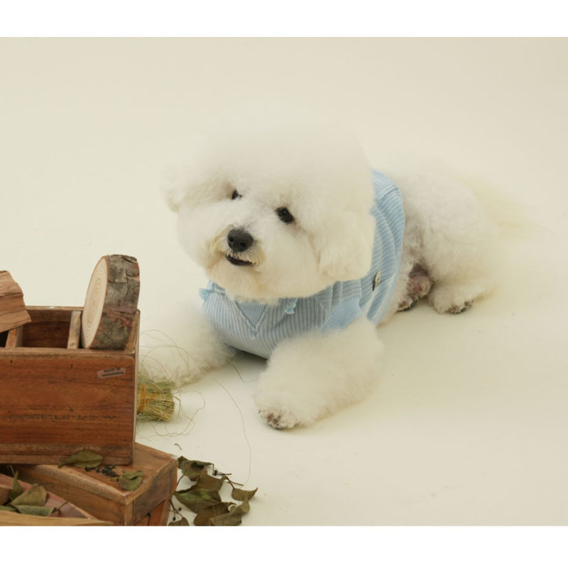 PuppyGallery® Painter Sleeveless Hoodie for Dogs