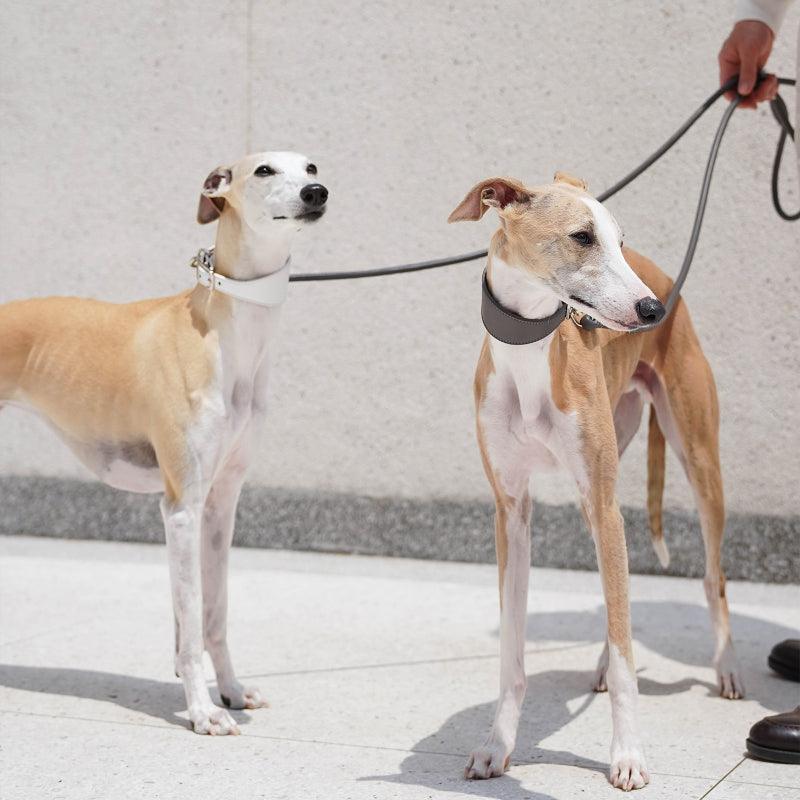 Hound Co.® Vegan Series Pet Collar & Leash Set - KIKOPALS