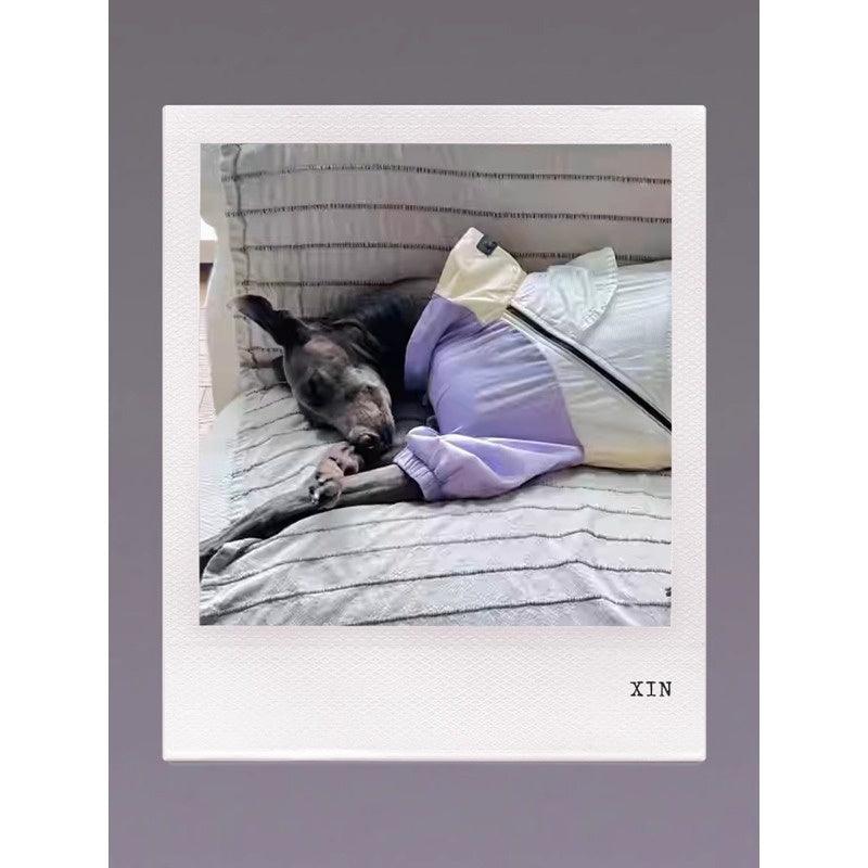 GASU® Cloudy Purple Color-Blocked Raincoat - KIKOPALS