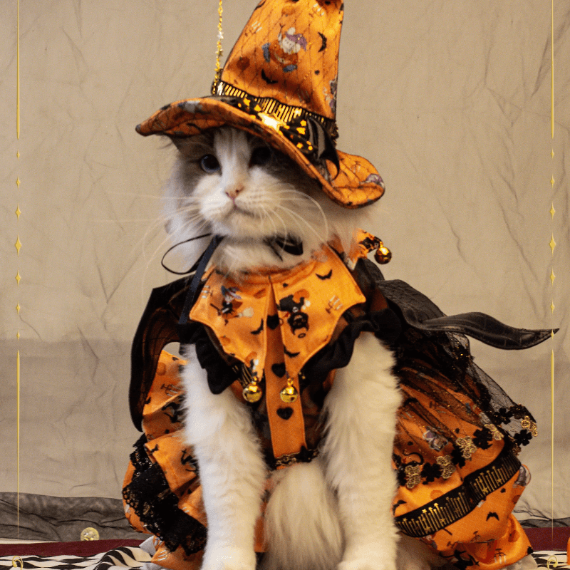 BITEONE® Pumpkin Princess Pet Dress/Witch Hat for Halloween - KIKOPALS