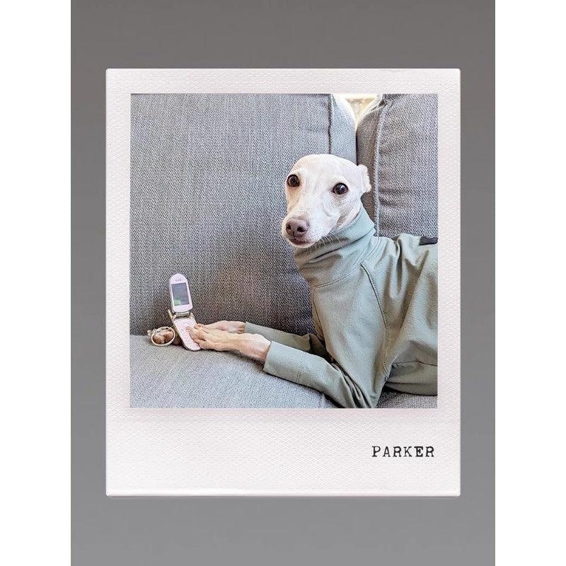 GASU® Sleek Nylon Whippet Dog Outfit - KIKOPALS