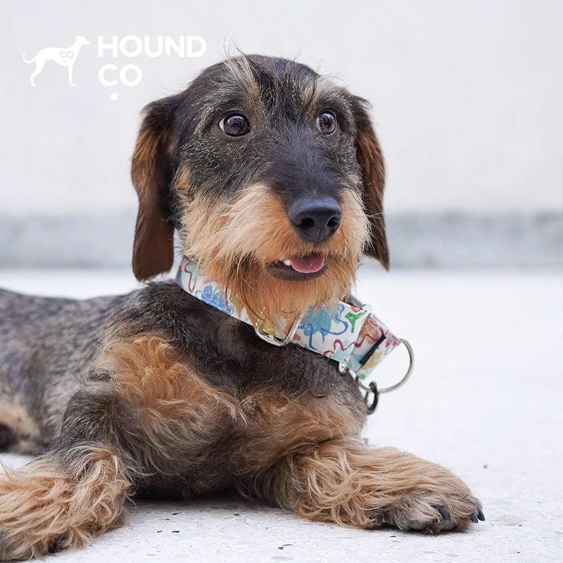 Hound Co.® Colorful Pet Collar - KIKOPALS