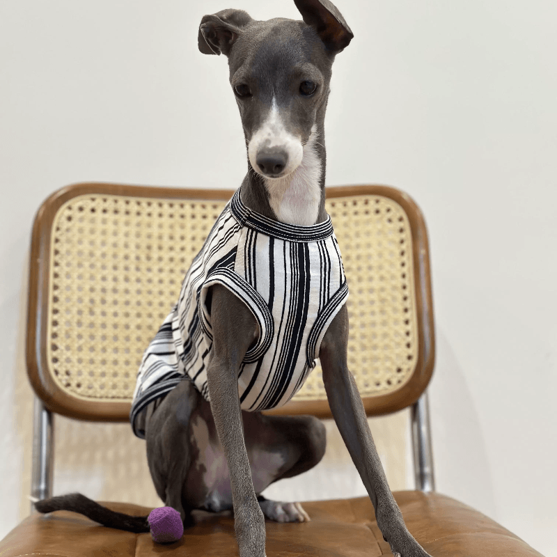 A HUNTING DOG® Dog Hemming Vest - KIKOPALS