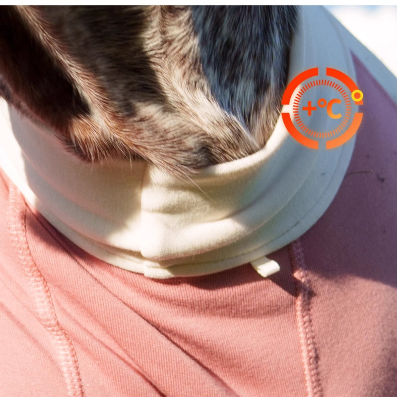 BlackDoggy® Merino Four-Legged Warmth Suit for Dogs