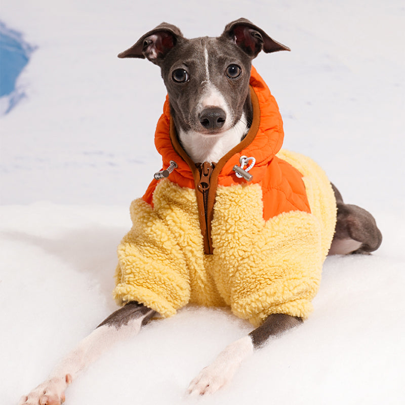 ZEZE® Windproof Pet Jacket for Small Dogs