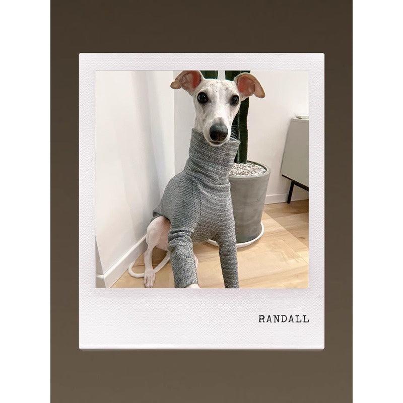 GASU® Grey Slim-Fit Two-Legged Dog Shirt - KIKOPALS