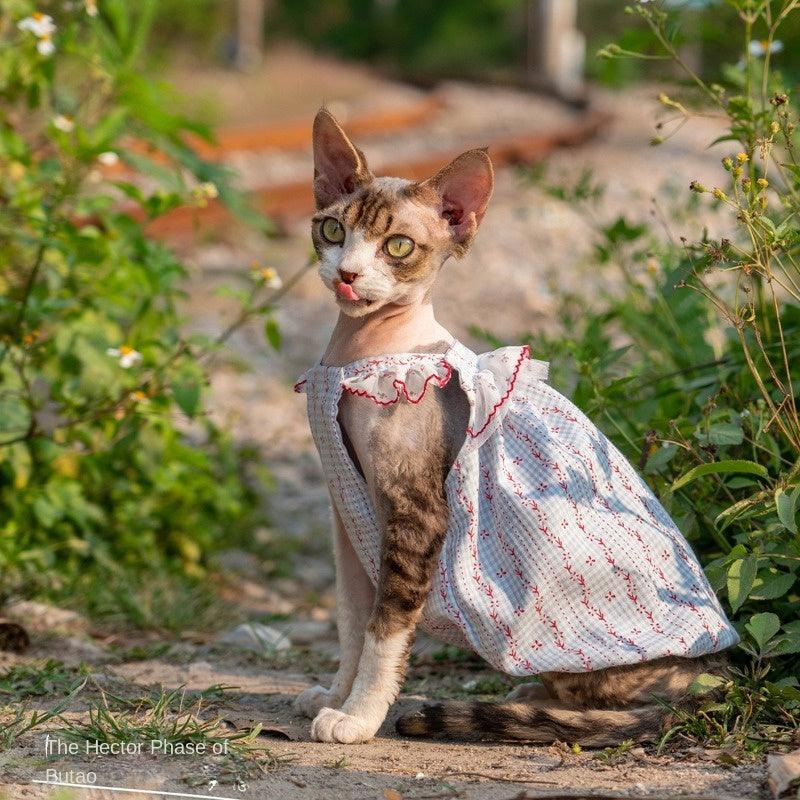 GINGERAIN® Cotton Lace Cat Dress - KIKOPALS