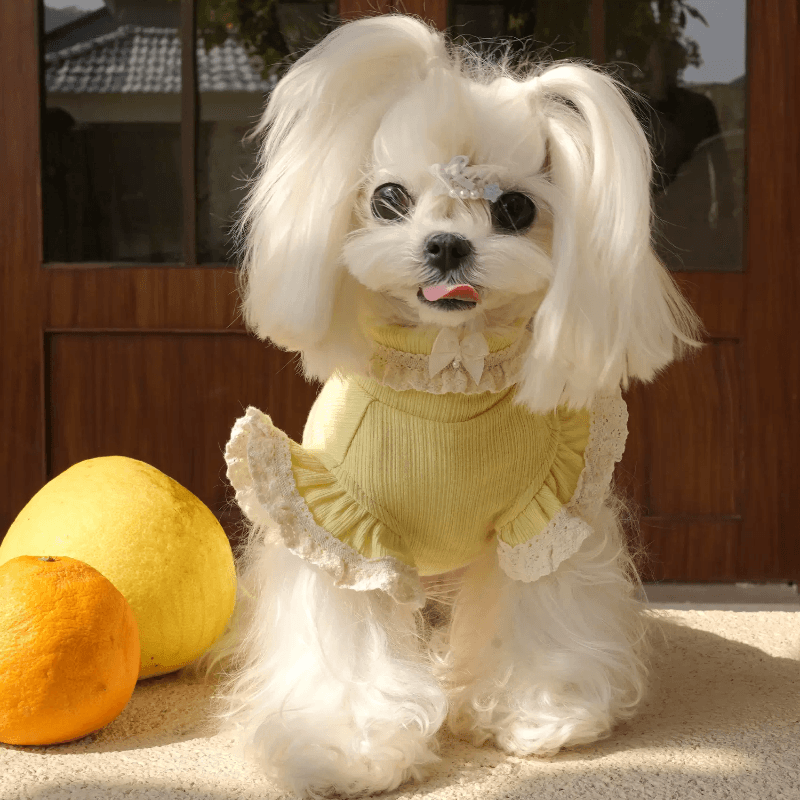 BOWWW® Pet Little Sweetheart Knitted Base Layer Top - KIKOPALS