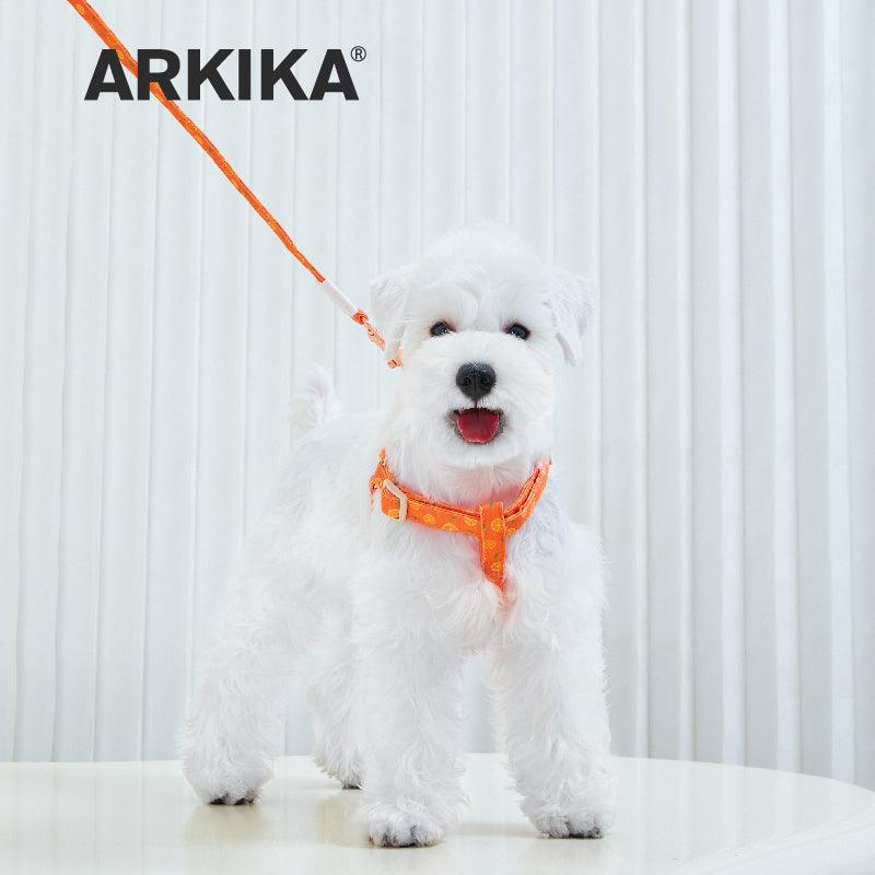 ARKIKA® Fruit-Colored Dog Harness Leash Kit - KIKOPALS