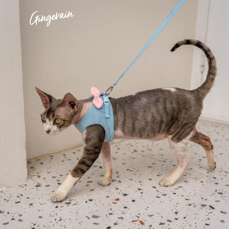 GINGERAIN® Cat Harness & Leash Set - KIKOPALS