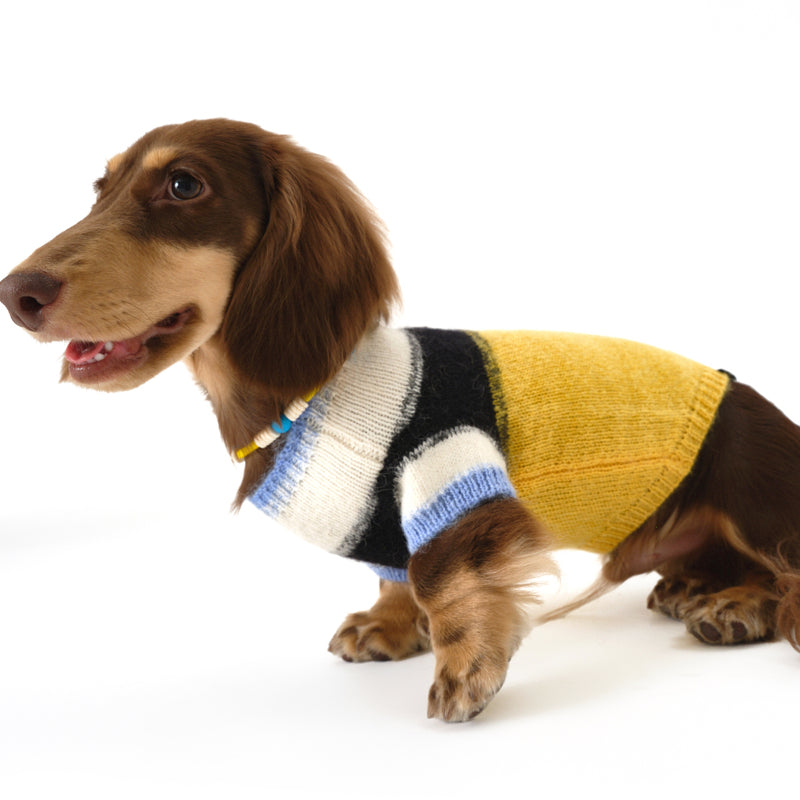 Nuoz® N Series Color-Block Beaded Pet Necklace