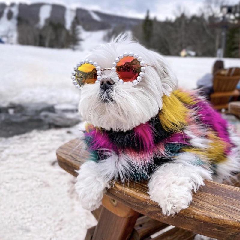 KIKOPALS® Pet Aviator Hat & Pearl Sunglasses - KIKOPALS