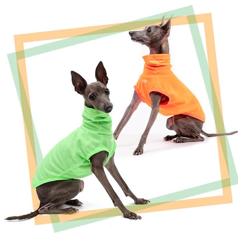 YDC Store® Sun and Insect Protection Dog Vest - KIKOPALS