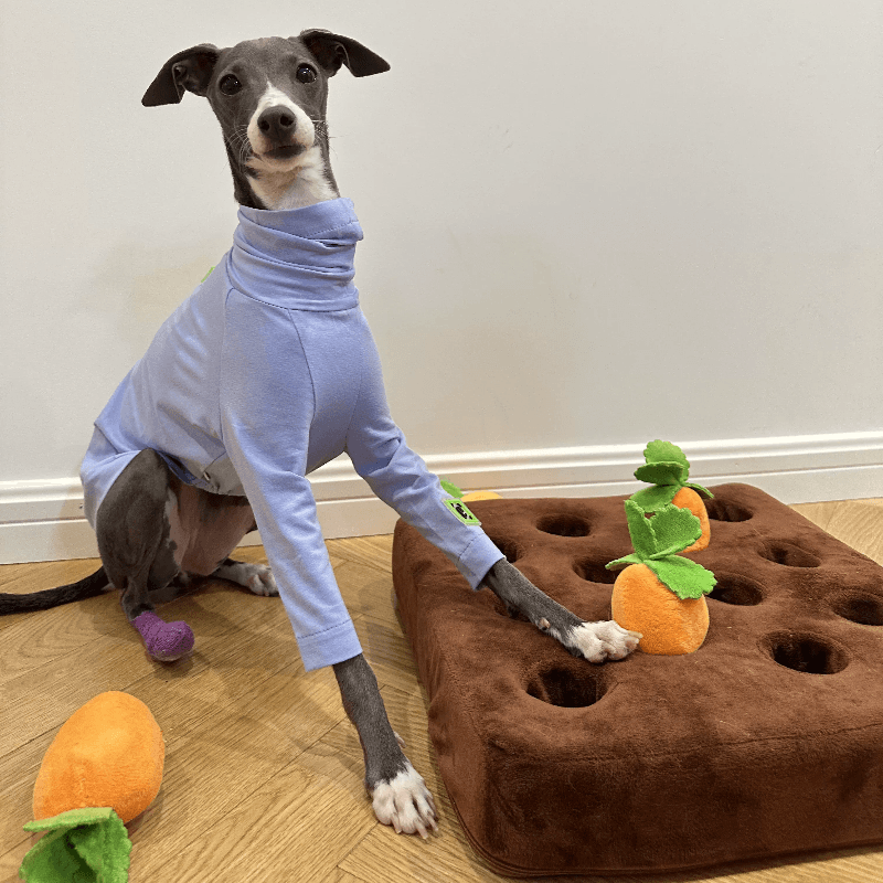 A HUNTING DOG® Dog fitted T-shirt - KIKOPALS