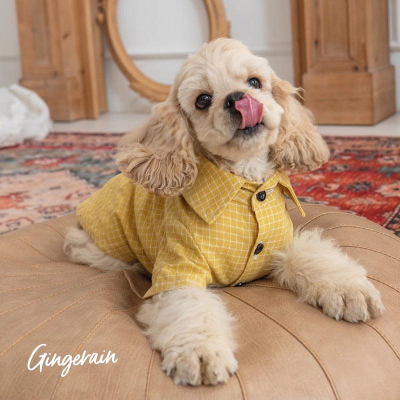 GINGERAIN® Wrinkle-Resistant Cotton Plaid Pet Shirt - KIKOPALS