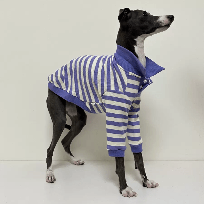 A HUNTING DOG® Blue/White Dog Polo Shirt - KIKOPALS