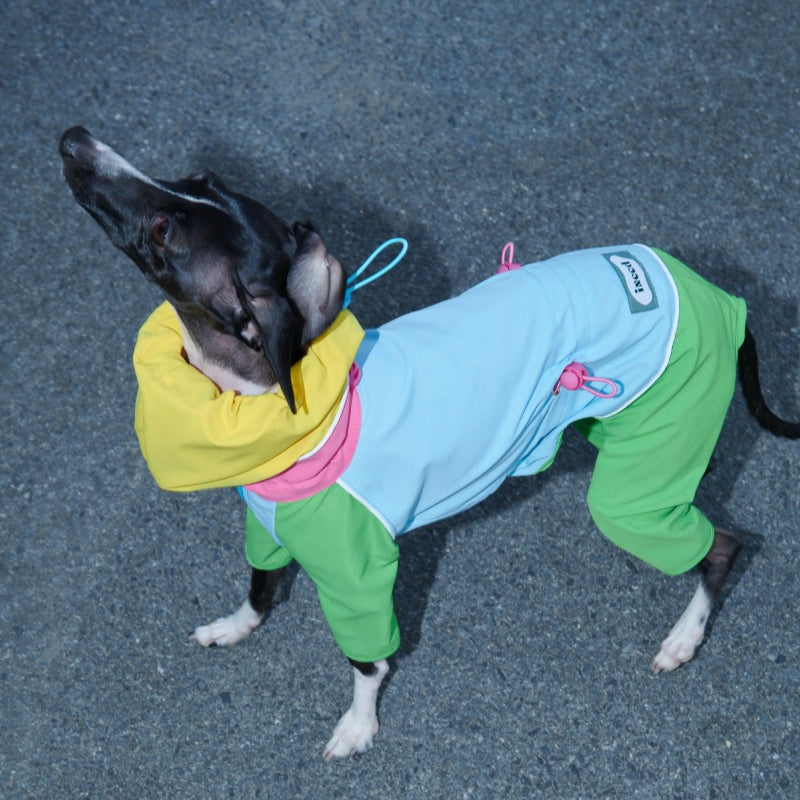 iiNeed® Waterproof Jacket Color-Block for Dogs