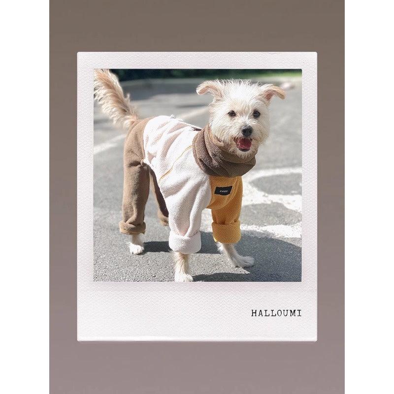 GASU® Anti-Static Sponge Cake Pet Outfit - KIKOPALS