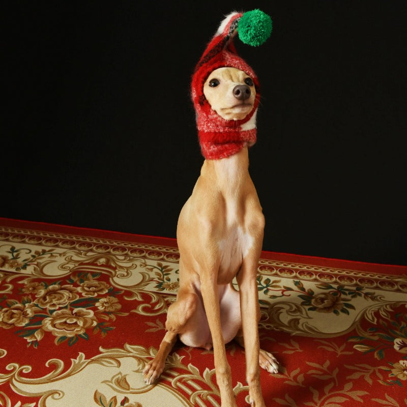 iiNeed® Adorable Red Plaid Hat With Pom-Pom for Dogs