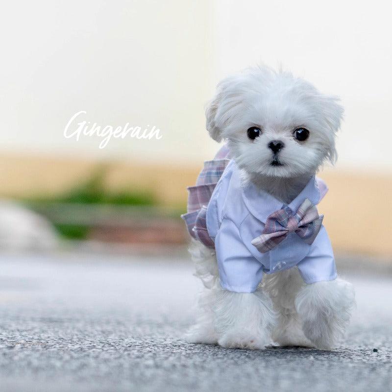 GINGERAIN® Pet Blue JK Dress - KIKOPALS