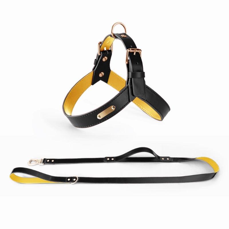 Minly® Leather Dog Harness & Leash Set - KIKOPALS