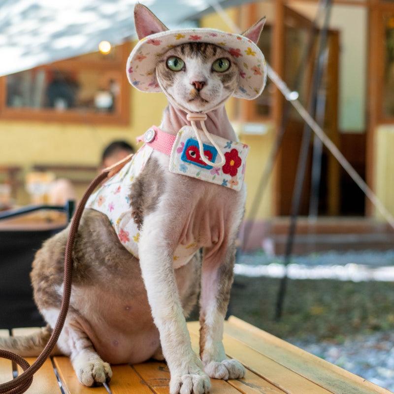 GINGERAIN® Outdoor Denim Cat Harness - Leash - KIKOPALS