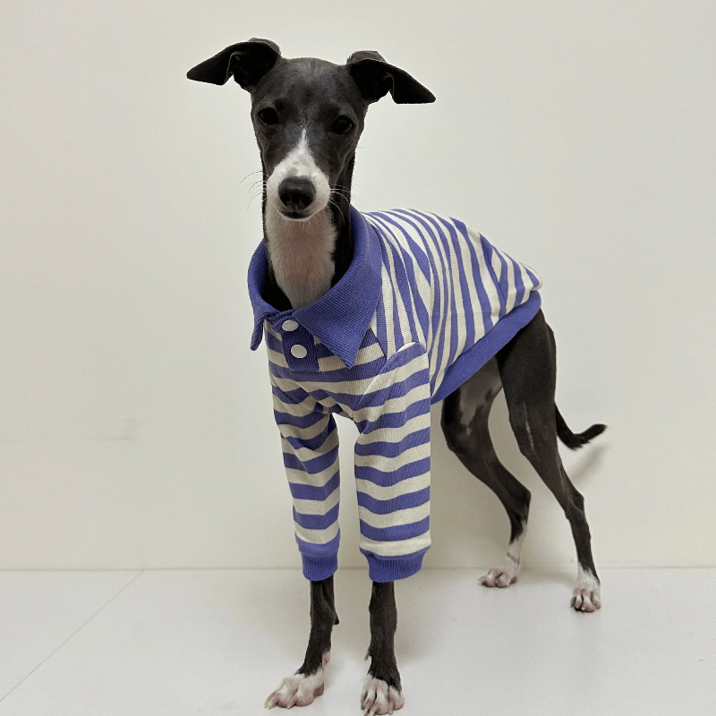 A HUNTING DOG® Blue/White Dog Polo Shirt - KIKOPALS