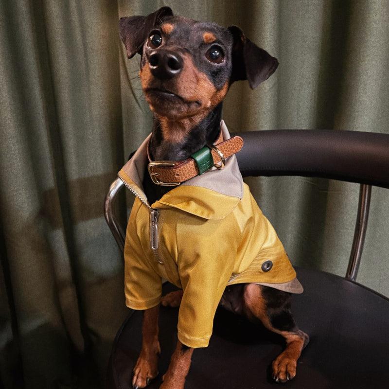 BBPRODUCTION® Windproof Dog Jacket with Leash Access - KIKOPALS