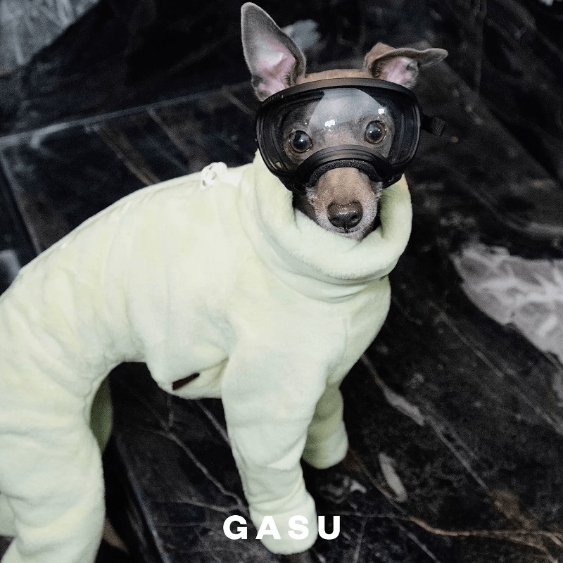 GASU® Thick Plush Dog Four-Legged Suit - KIKOPALS